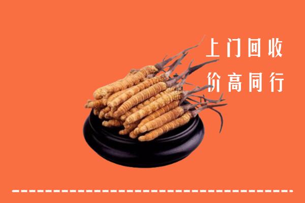高价求购：眉山丹棱县回收散虫草