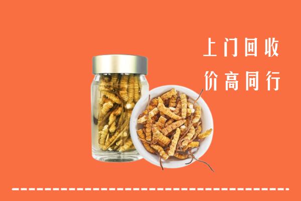 眉山丹棱县回收冬虫夏草